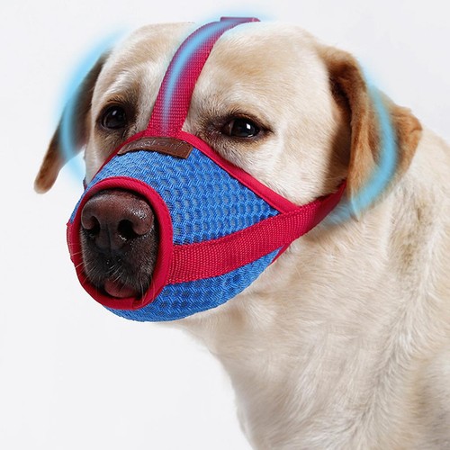 Muselière pour chien masque - muselière,