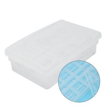 Incubateur Reptile Boîte D'alimentation Pour Reptiles Enclos De Lézard