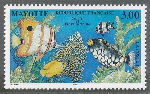 Timbre mayotte neuf sans - timbre,