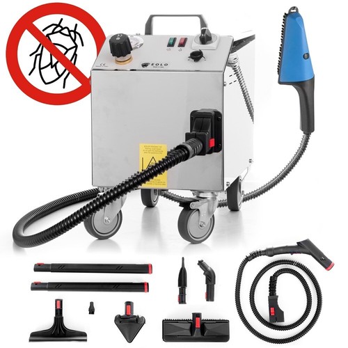 Nettoyeur vapeur professionnel - vapeur,