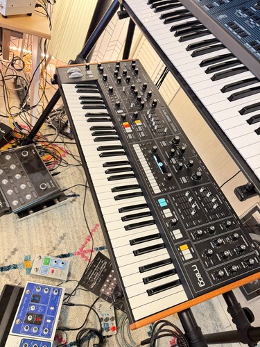 Moog music muse voice - muse, analog