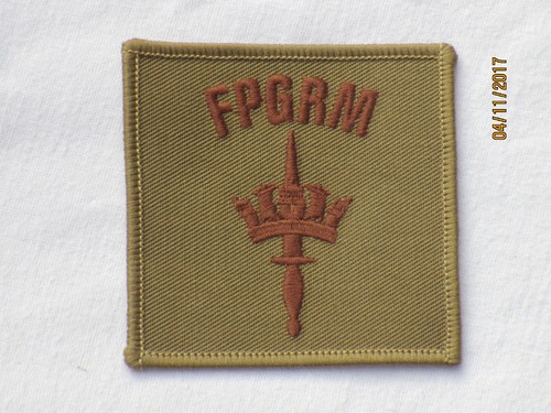 Fleet protection group - fleet, royal
