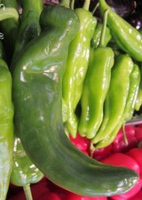 ♫ POIVRON ALLONGE ''Corne de