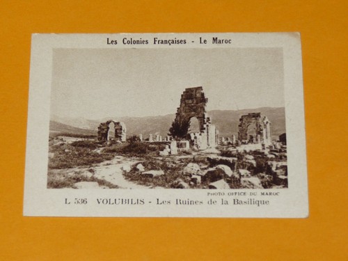 Image 1930 1932 vache - 1930-1932, rit