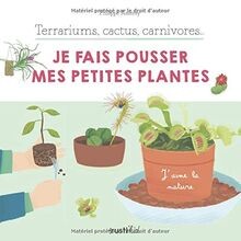 Terrariums cactus - terrariums,,