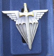 INSIGNE MILITAIRE ARTHUS BERTRAND EDITIONS ATLAS  /  ETAP