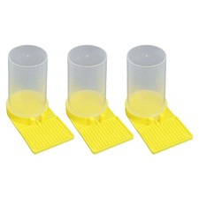 Colonie d'abeilles apiculture