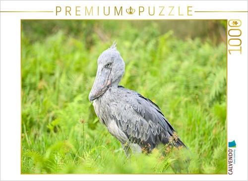Calvendo puzzle schuhschnabel - calvendo,