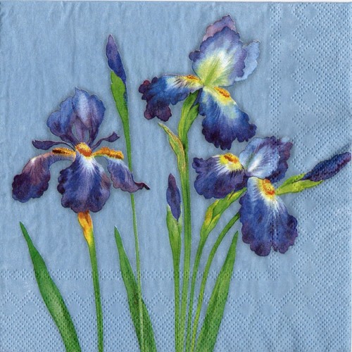 Serviettes papier les - papier,