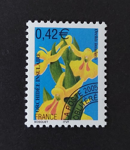 France année 2005