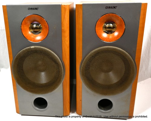 Pair sony nx1 - ss-nx1, bookshelf