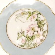 Assiette Porcelaine De Limoge