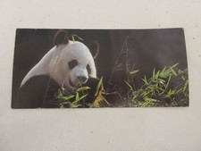 FICHE 241 PHOTO ANIMAUX Le GRAND PANDA - Les ANIMAUX MENACES
