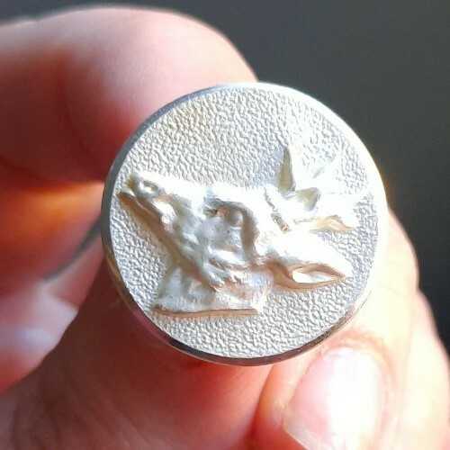 E05j08 pearlescent white - pearlescent, deer