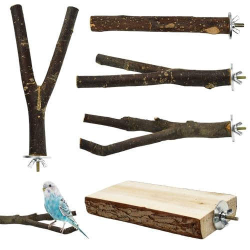 Pcs perchoir perroquet en - pcs,
