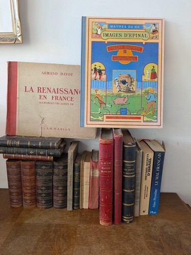 Destockage lot livres - 20,