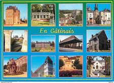 45 - Loiret - Le Gatinais - Multivues - Flamme Postale - CPM - Voir Scans Recto-