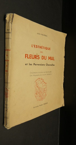 Esthétique des fleurs du - l'esthétique,