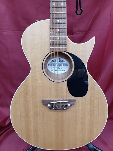 Guitare électrique acoustique