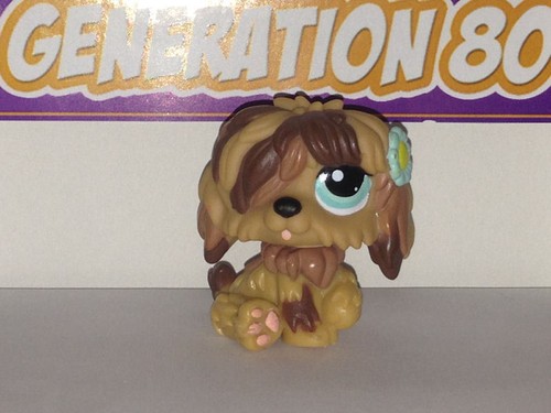 Littlest petshop bobtail - littlest,