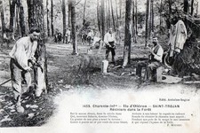 CPA 17 SAINT TROJAN ILE OLERON RESINIERS DANS LA FORET (VIEUX METIERS