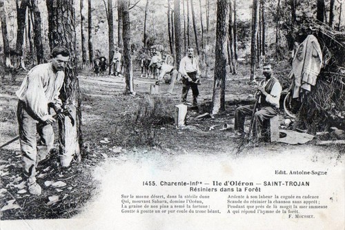 Cpa saint trojan - saint, oleron