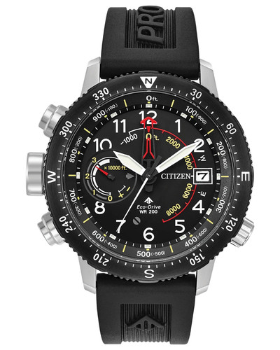New citizen eco - eco, divers
