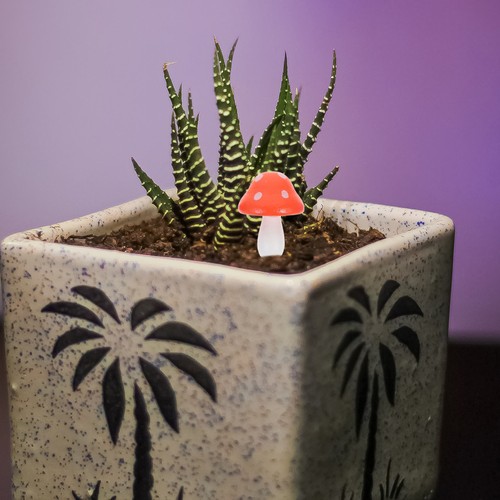 Pcs statue de champignon - ,