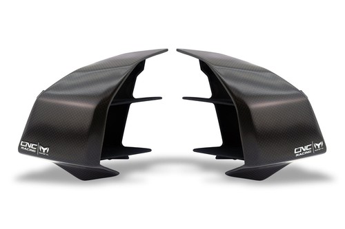Winglets palmes carbone - en,