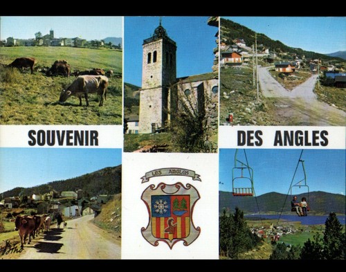 Les angles bovins en - les,