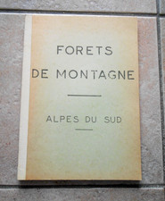Forêts de montagne. Alpes du