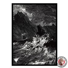 NOUVELLE pochette de carte