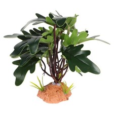 Décoration De Terrarium