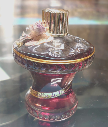 Violettes toulouse haut 7 - de,