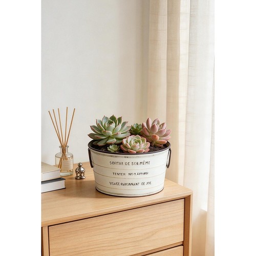 Pot fleurs rustique - pot, de