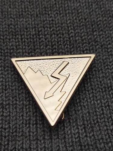 Insigne brevet rep - insigne, 2°