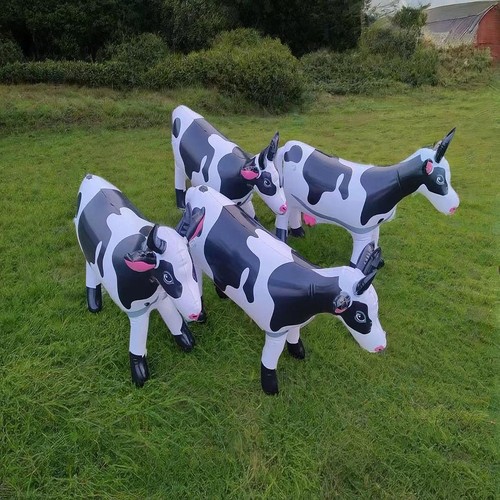 Balon vache animale - balon,