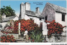 AVHP10-0607-BERMUDES - Aunt peggy's - BERMUDA