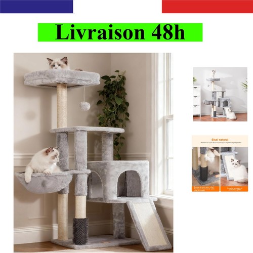 Heybly arbre chat gris - arbre, à