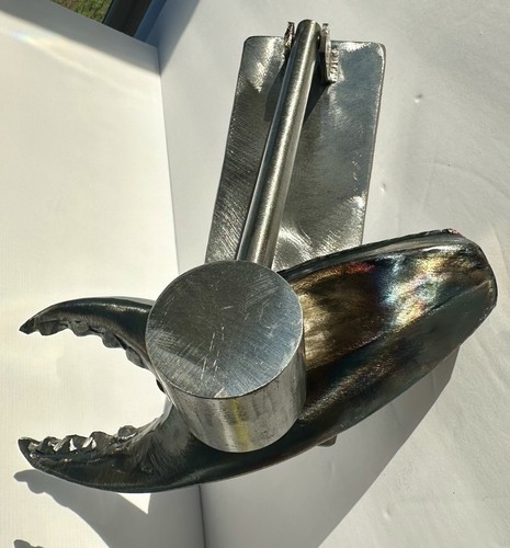 Custom crab lobster claw - crab,