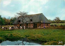 Carte Postale - Animaux -