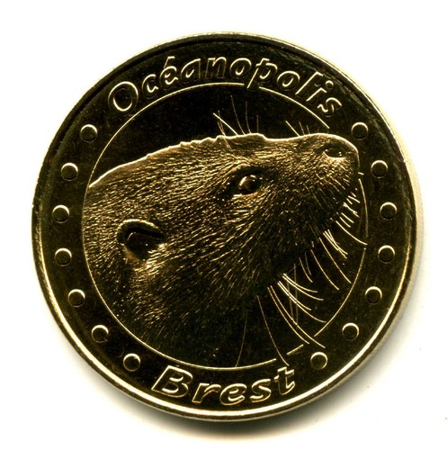 Brest océanopolis loutre - brest,