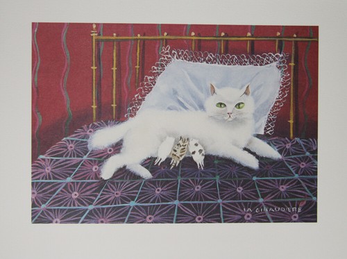 Mady giraudiere - giraudiere,