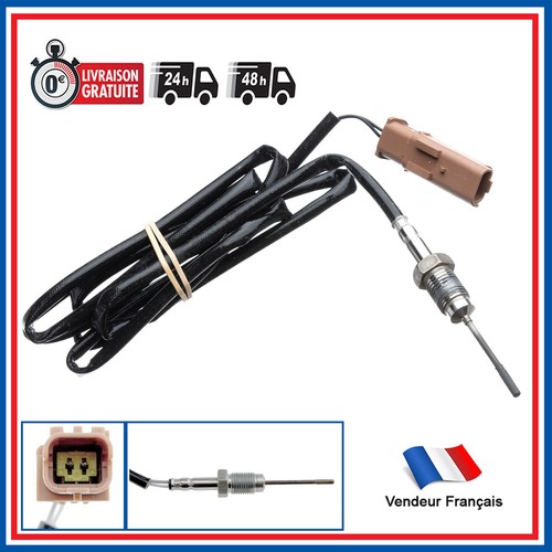 Sonde température gaz - température,