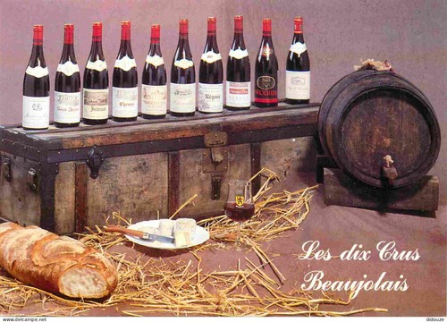 Carte postale vignes - vignes, les