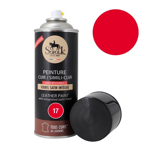 Peinture cuir canapé - cuir, siège