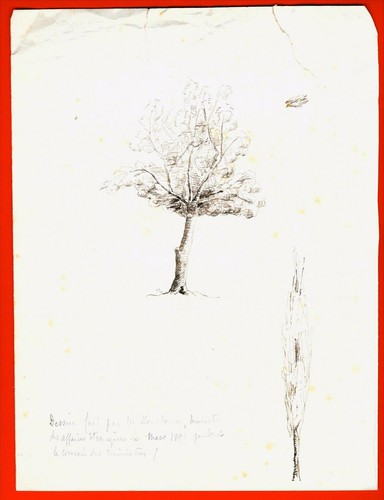 AH21-DESSIN-GABRIEL