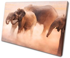 Animals Baby Elephant SINGLE