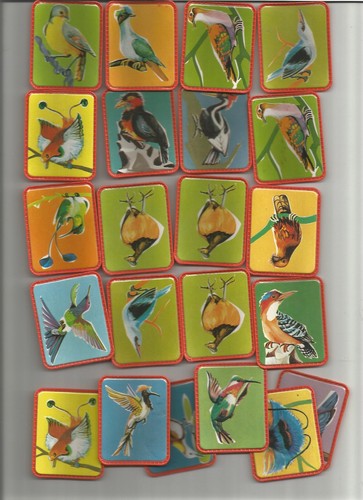 Lot images oiseaux - de,