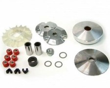 VARIATEUR POLINI 241.542.3